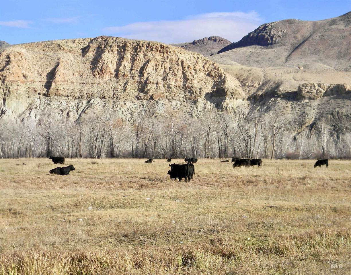 24950 Hwy. 93 - Photo 1