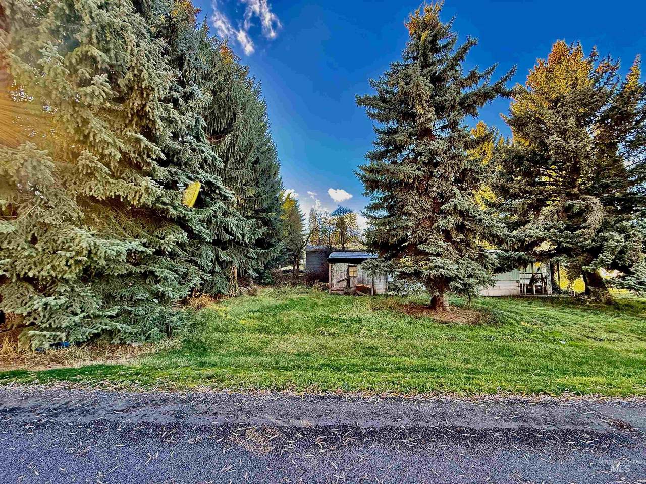 102 Woodworth Street - Photo 1