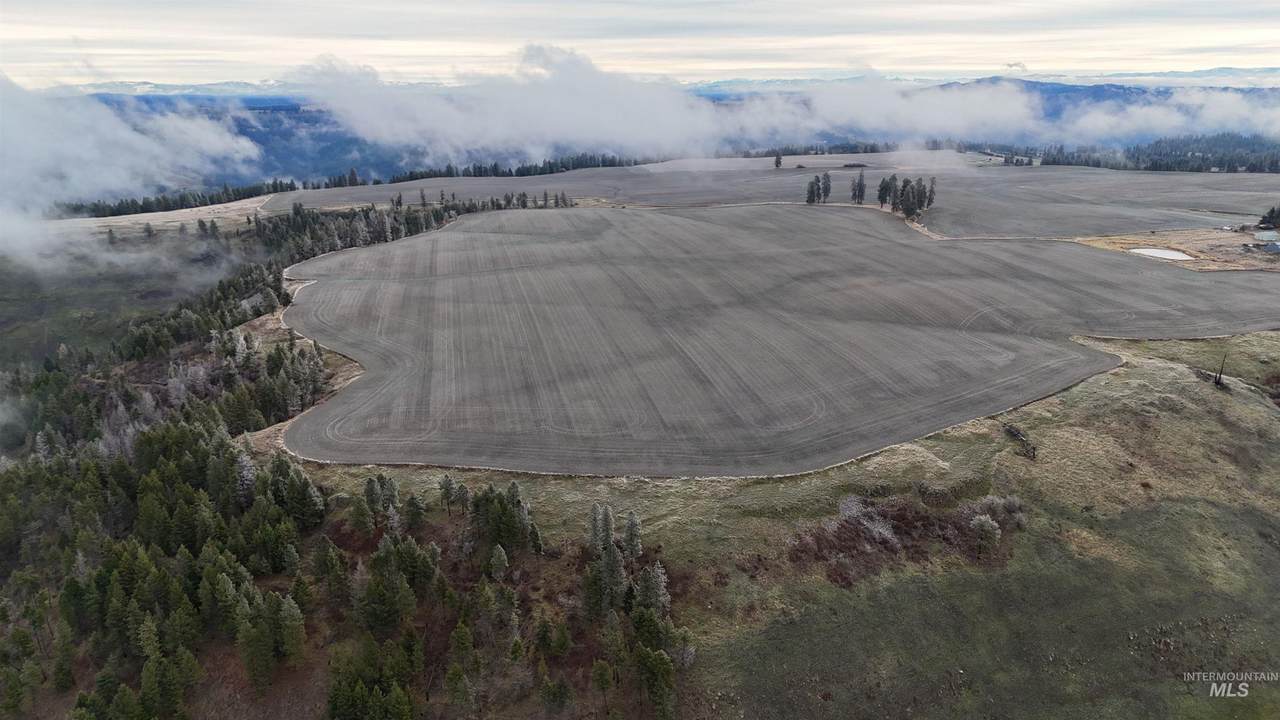 2439 Albers Rd - Photo 1