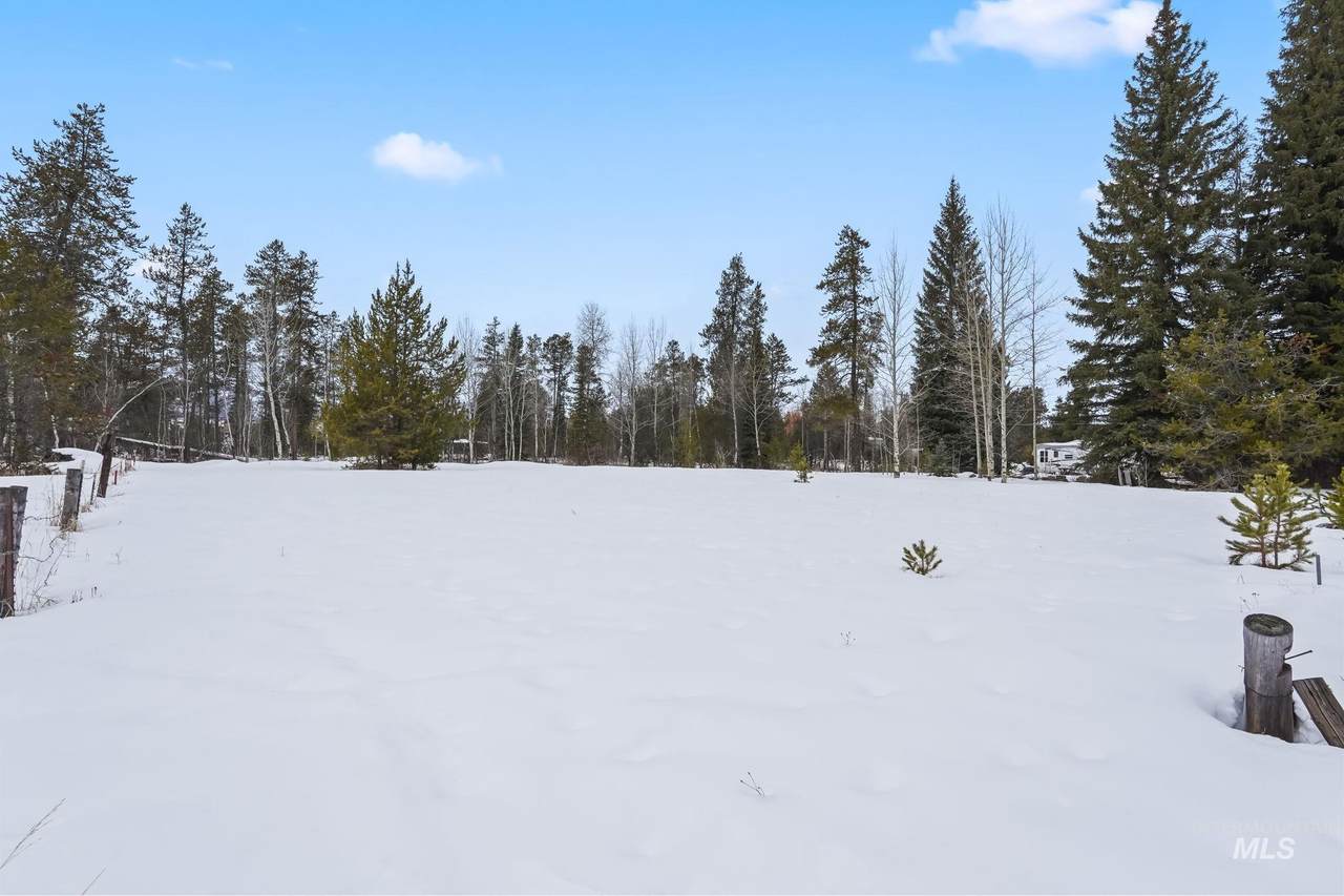 881 Roseberry Rd. - Photo 1