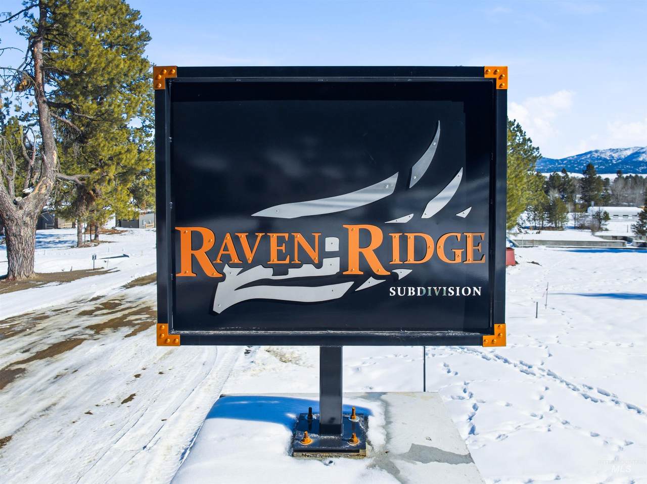 164 Raven Loop - Photo 1