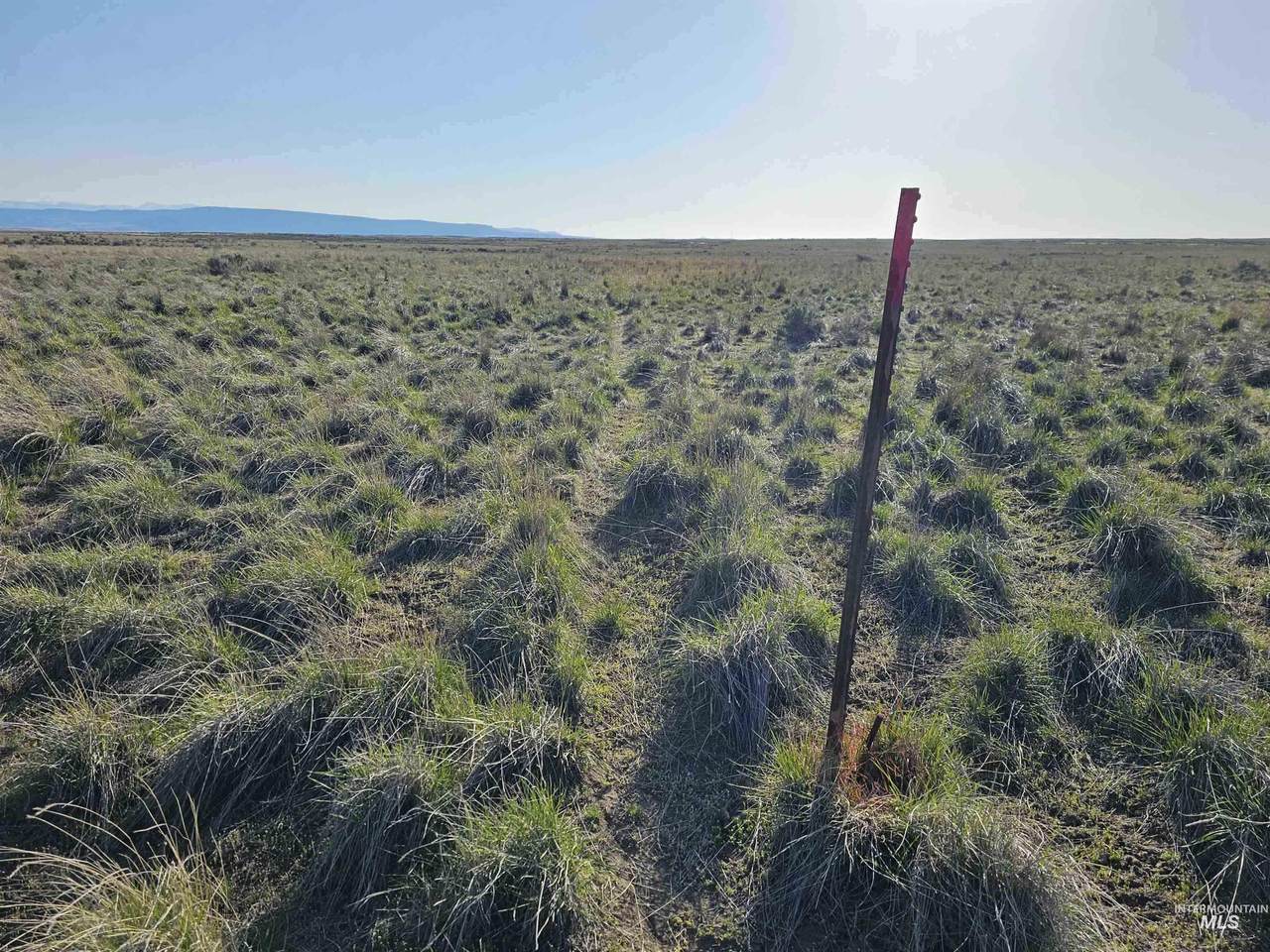 2350 Kunae East Road - Photo 1