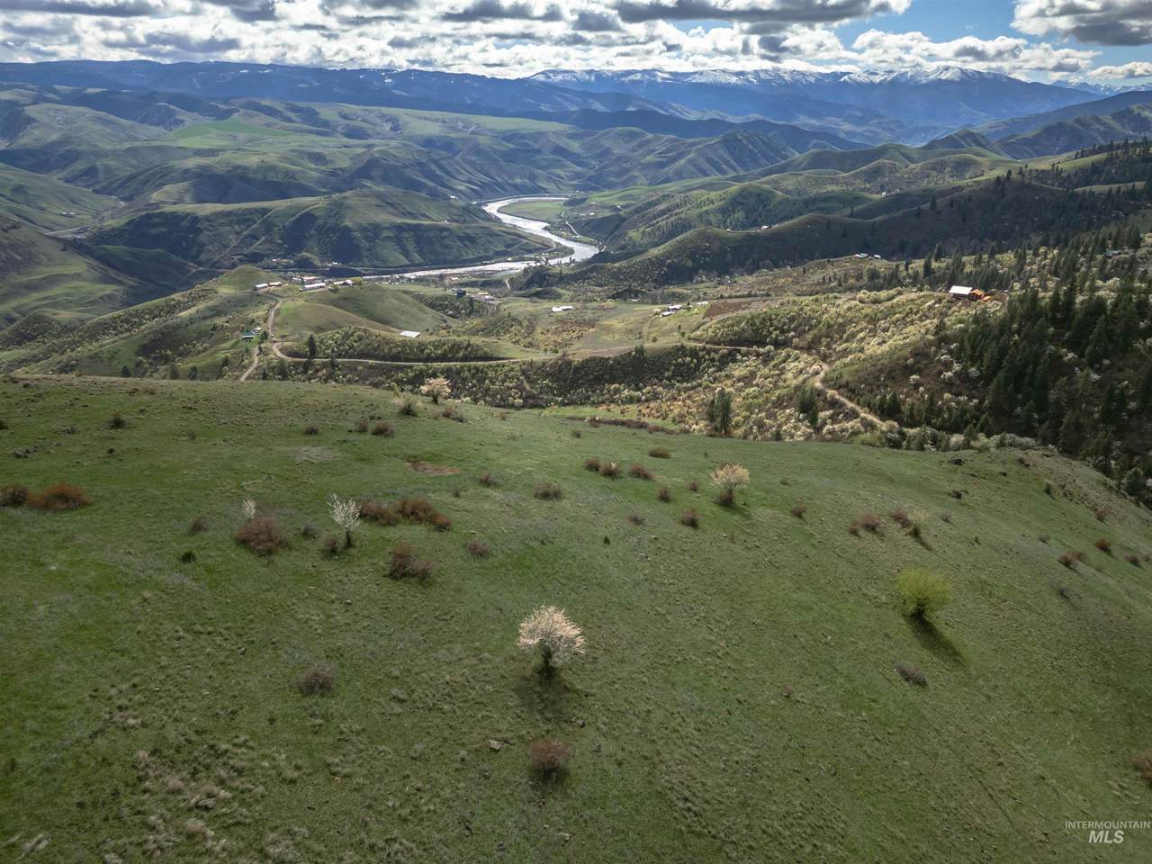 TBD Blue Grouse Road - Photo 1