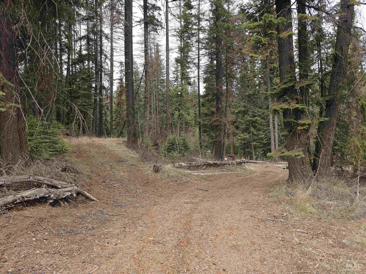 1709 West Mountain Road - Photo 1