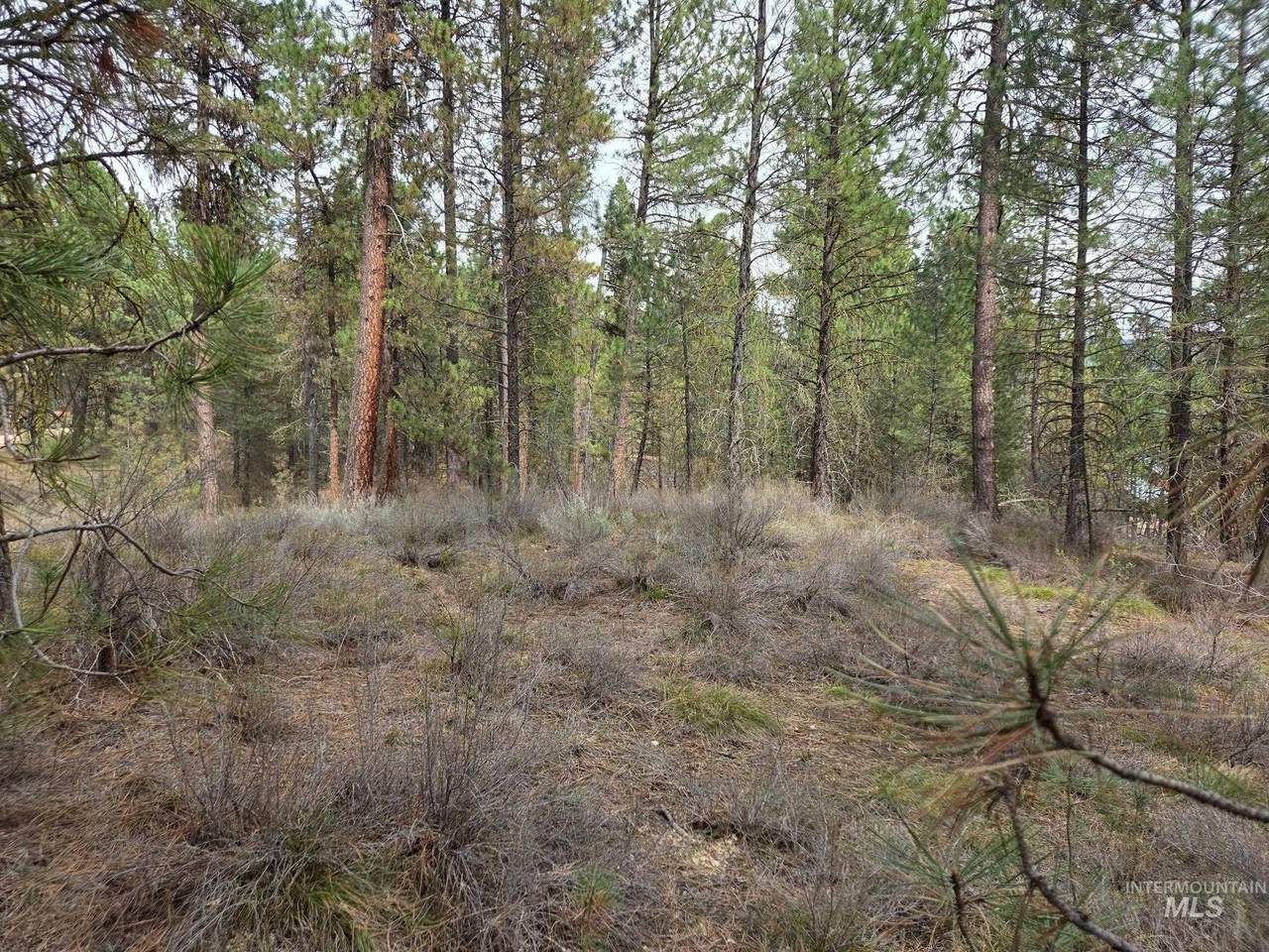 Lot 31 Meadow Creek - Photo 1