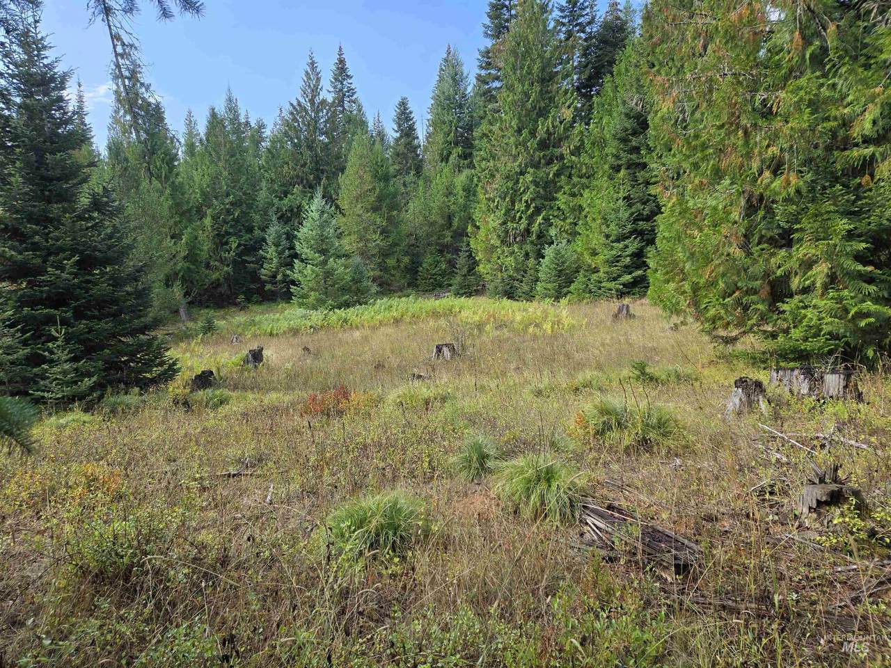 TBD #7 Hjalmar Johnson Road - Photo 1