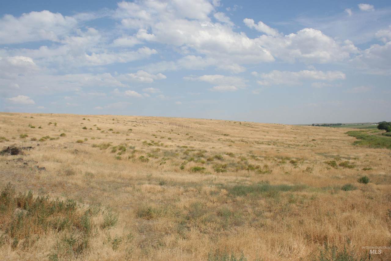 https://bt-photos.global.ssl.fastly.net/imls/1280_boomver_1_98980052-2.jpg