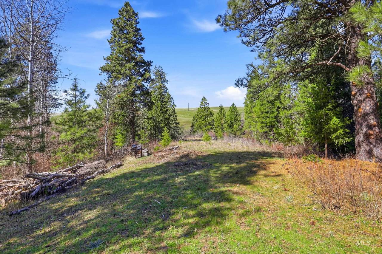1114 Paradise Ridge Road - Photo 1