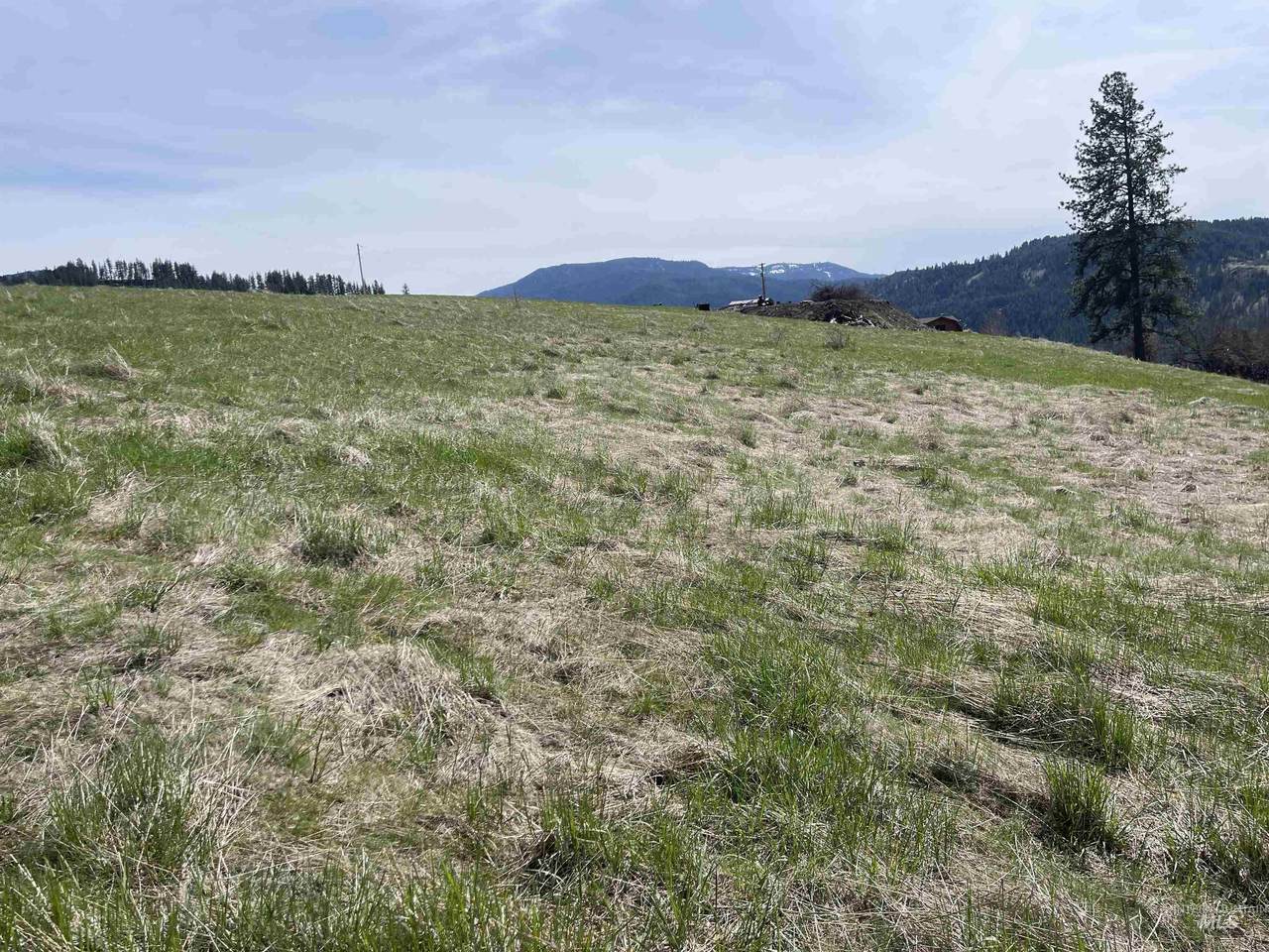 TBD Wagon Wheel Rd - Photo 1