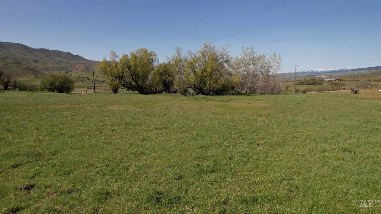 https://bt-photos.global.ssl.fastly.net/imls/1280_boomver_1_98980456-2.jpg