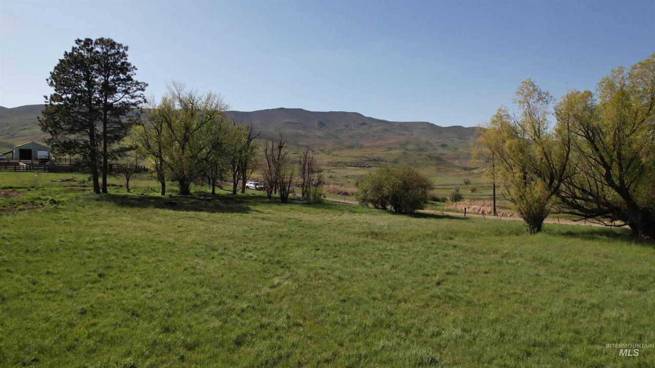 https://bt-photos.global.ssl.fastly.net/imls/1280_boomver_1_98980456-2.jpg