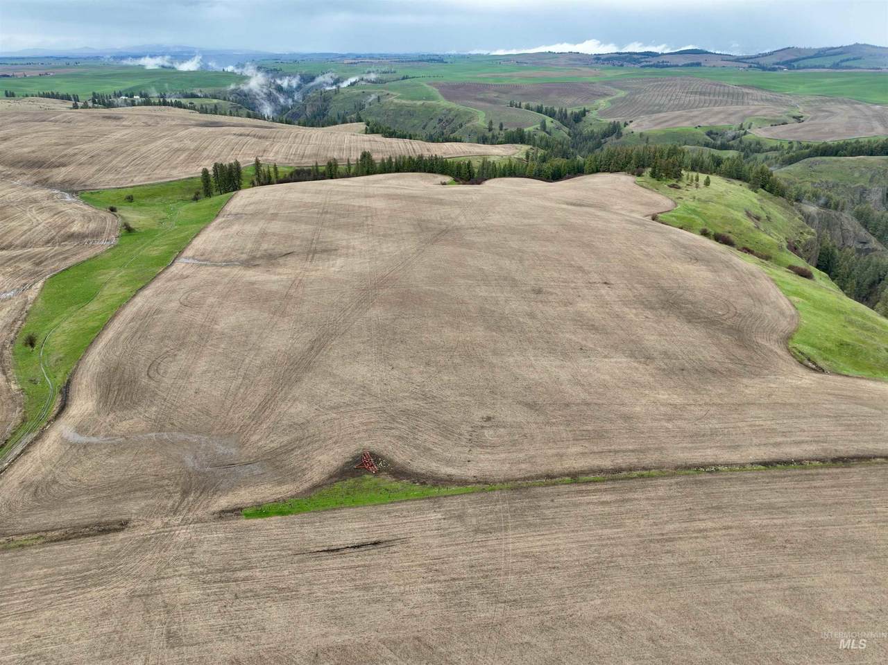 TBD Younger Rd - Photo 1