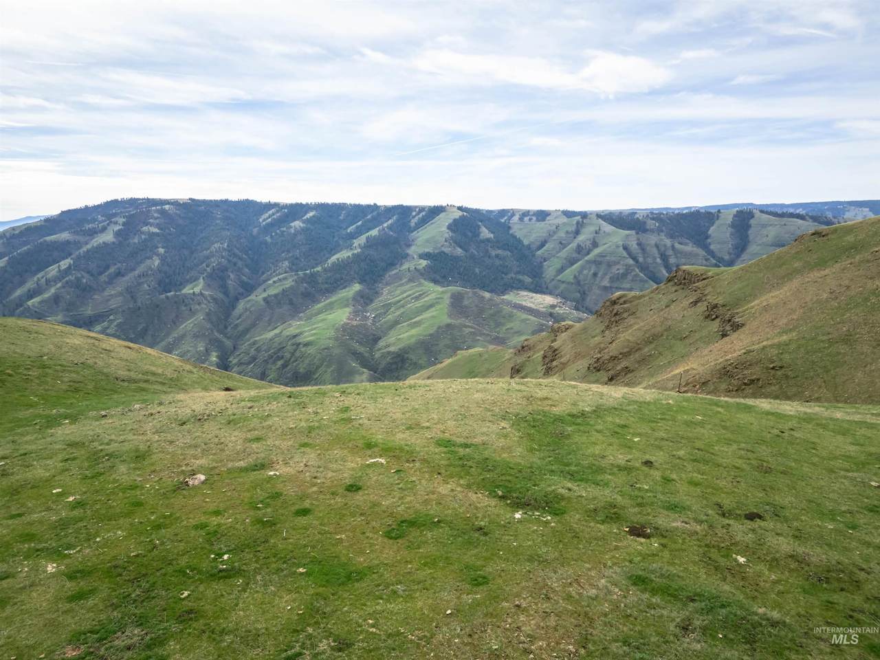 Lot 9 Salmon River Canyon Estates - Photo 1