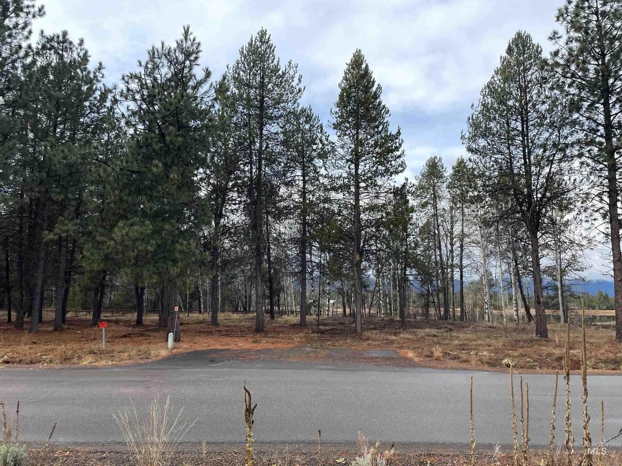 13047 Dawn Drive - Photo 1