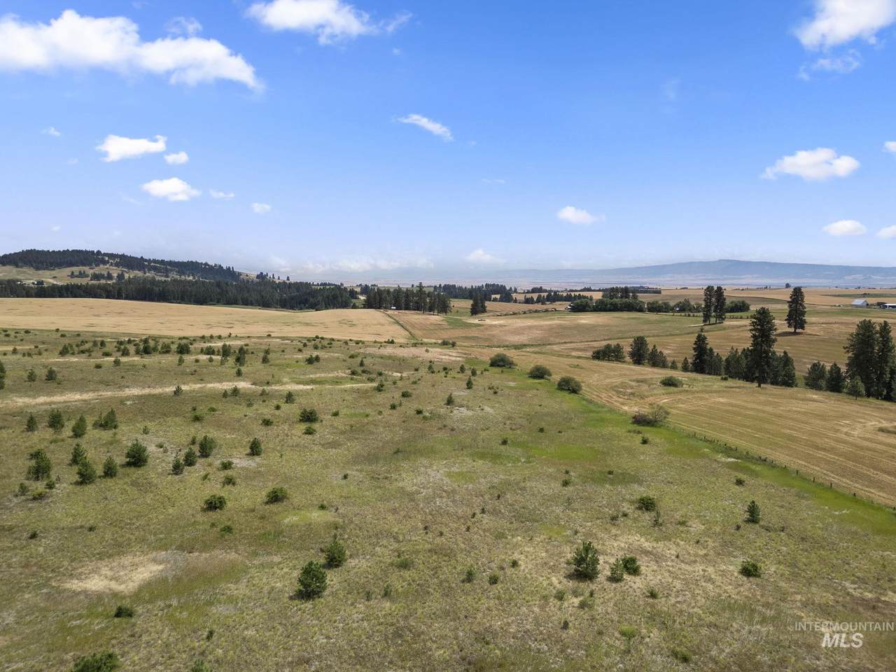 TBD Keuterville Road - Photo 1