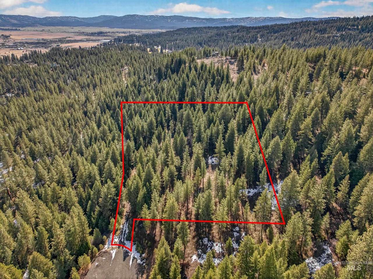 Lot 19 Little Salmon Road - Photo 1