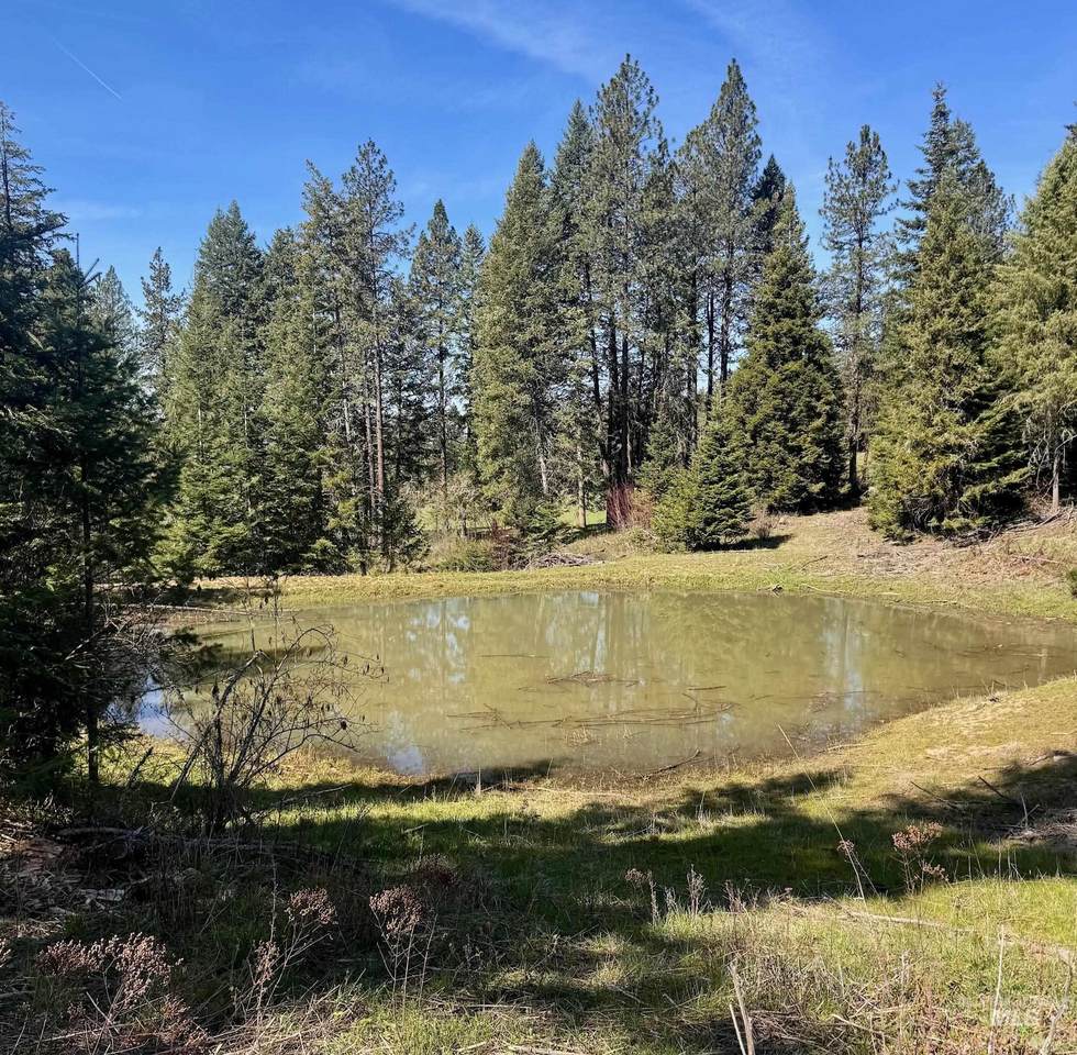 TBD Harris Ridge Rd - Photo 1