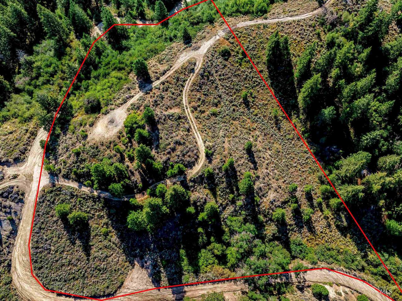 TBD Shaw Mountain Road - Photo 1