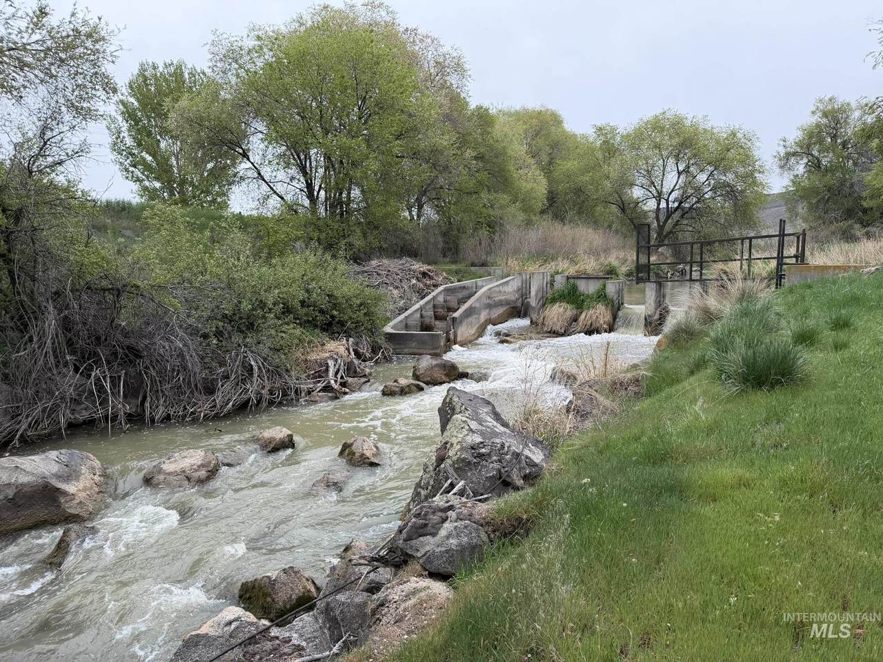 TBD River Road - Photo 1