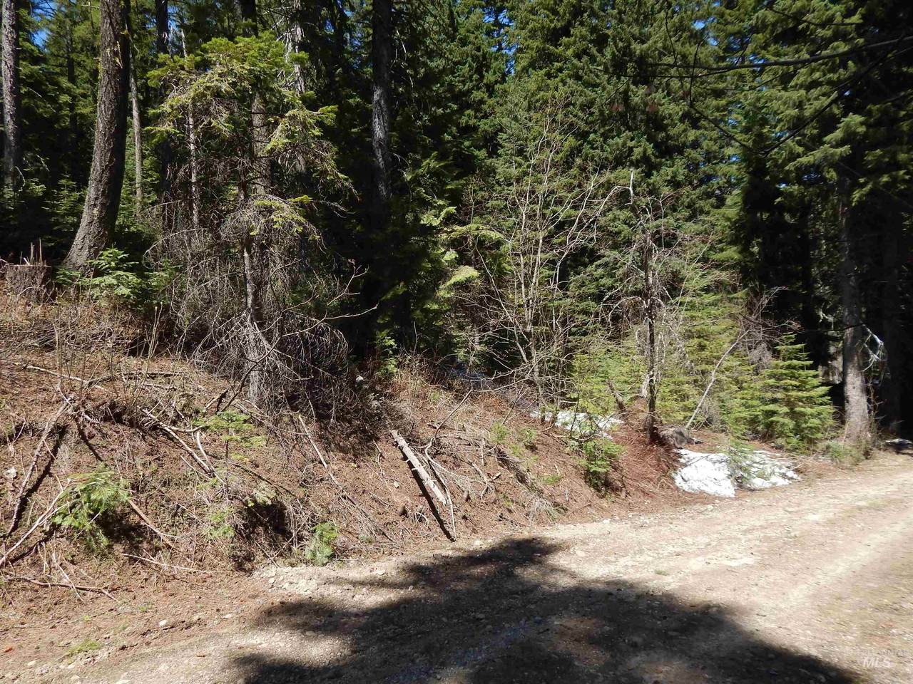 1601 Bear Trail Loop - Photo 1