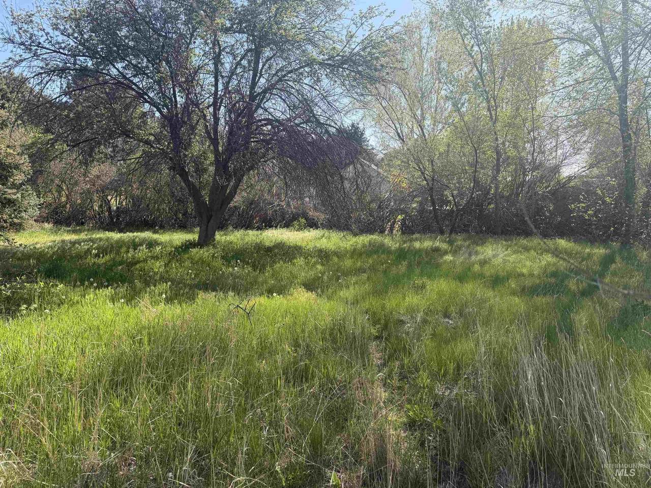 495 Illinois Street - Photo 1