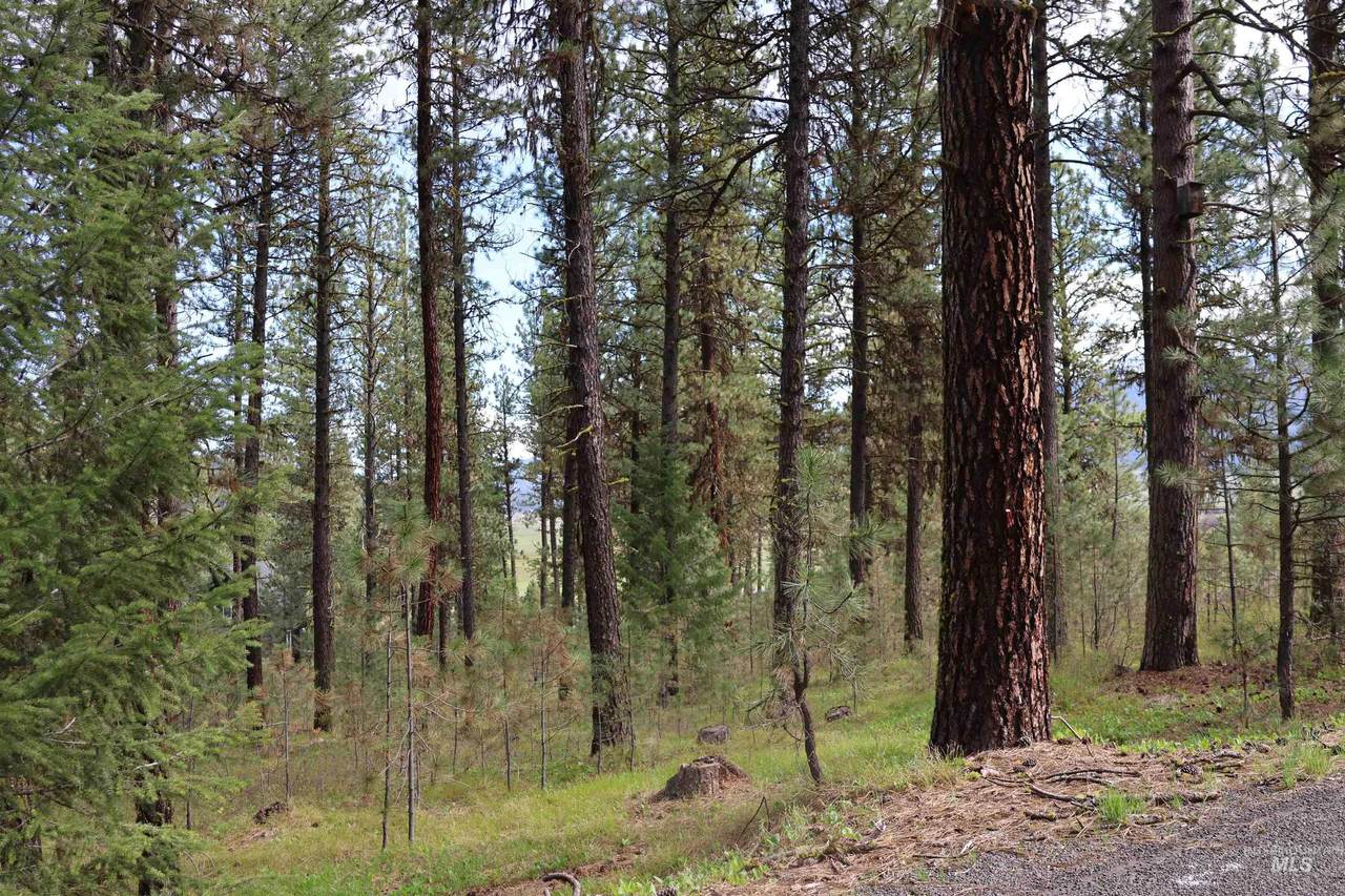 TBD Hot Springs Road - Photo 1