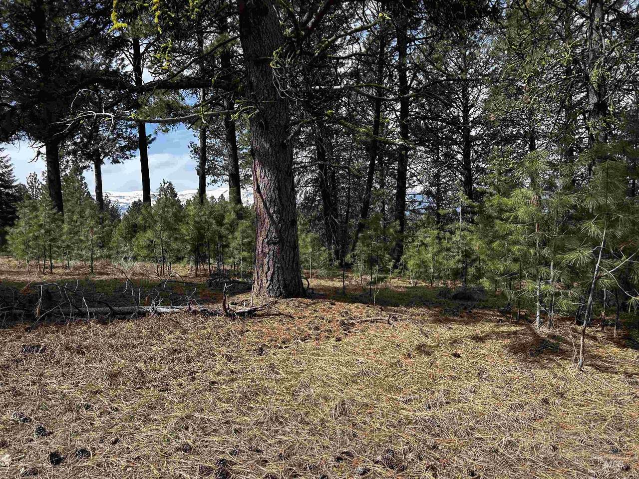1483 Pine Lakes Ranch Rd - Photo 1