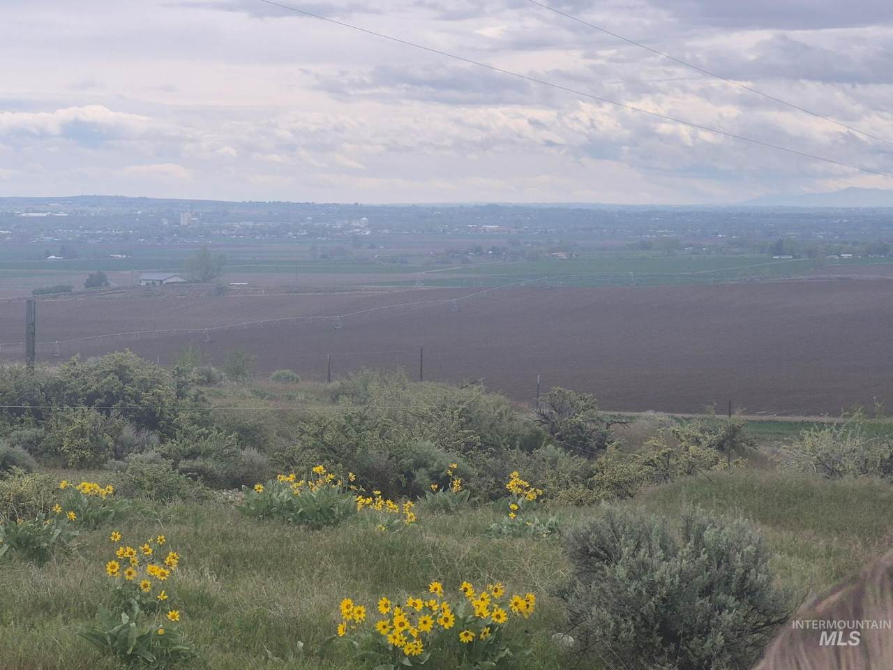 https://bt-photos.global.ssl.fastly.net/imls/1280_boomver_1_98984945-2.jpg
