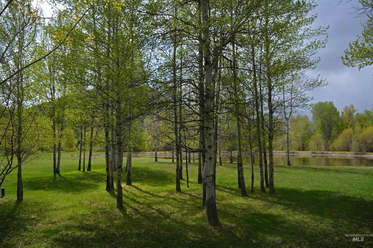 https://bt-photos.global.ssl.fastly.net/imls/1280_boomver_1_98988835-2.jpg