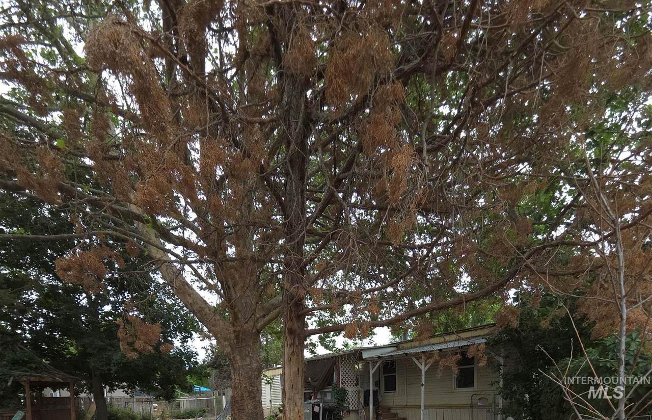15919 Sundown Drive - Photo 1