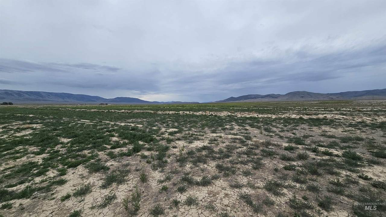 https://bt-photos.global.ssl.fastly.net/imls/1280_boomver_1_98991707-2.jpg
