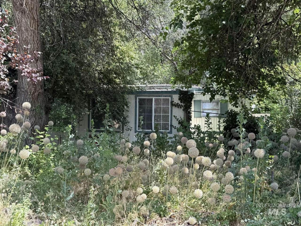 1022 Middleton - Photo 1