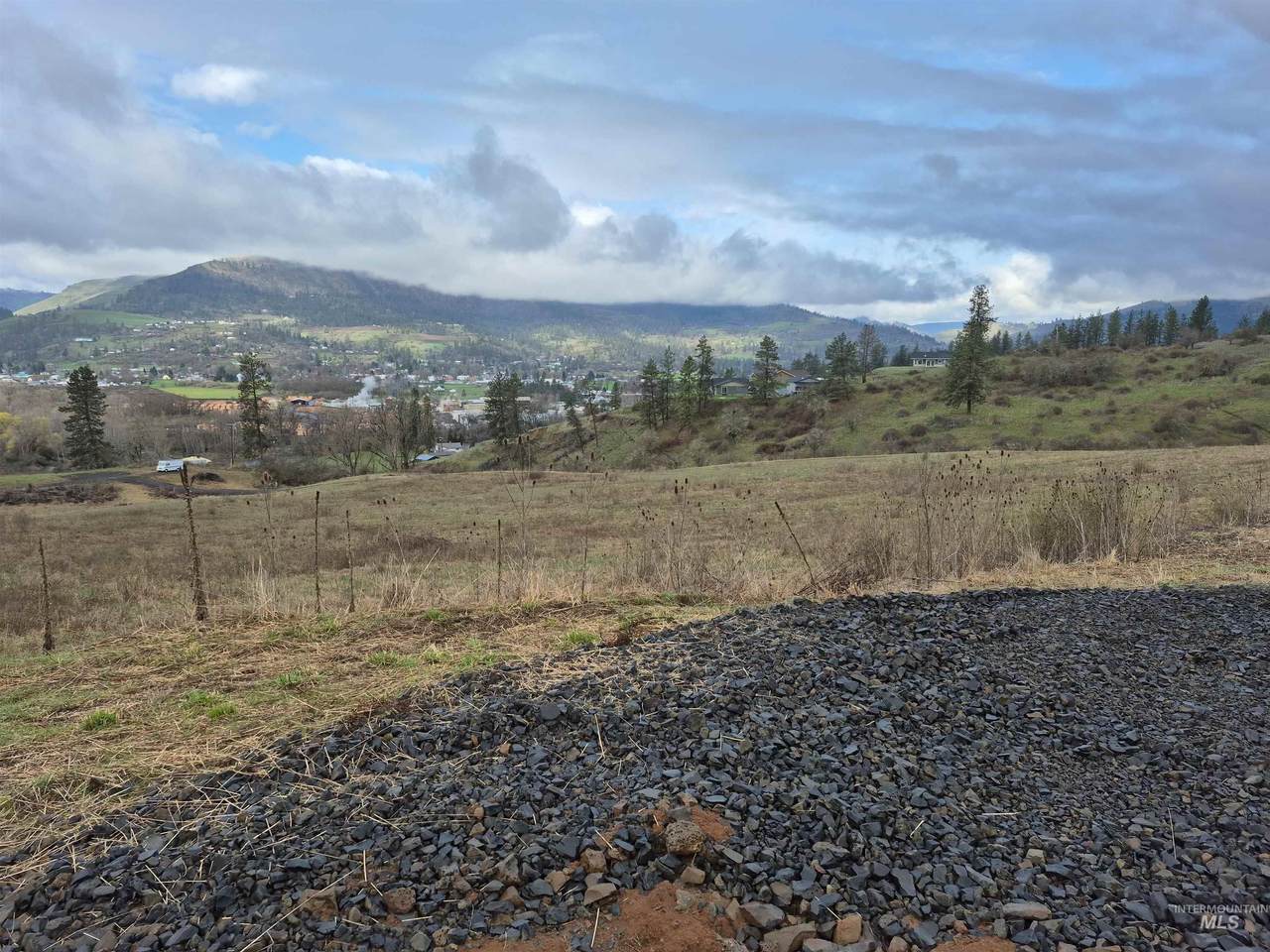 147 Elk Hill St. (Terms Available) - Photo 1