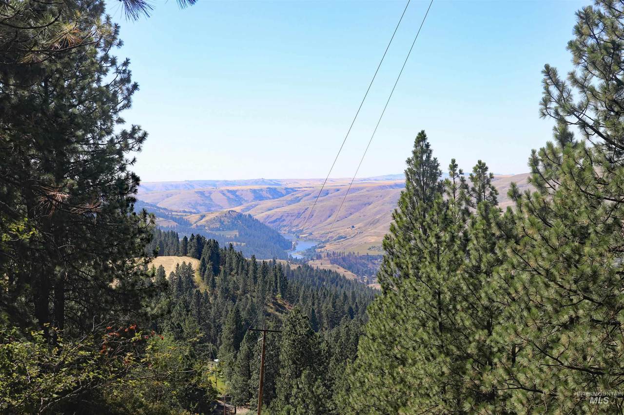 37596 Eberhardt Road - Photo 1