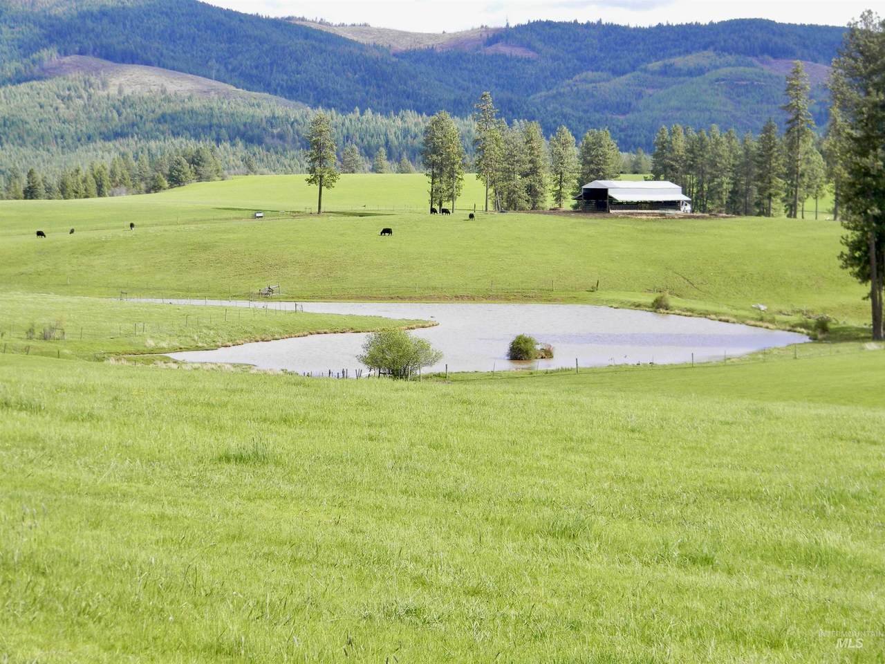 https://bt-photos.global.ssl.fastly.net/imls/1280_boomver_1_99000737-2.jpg
