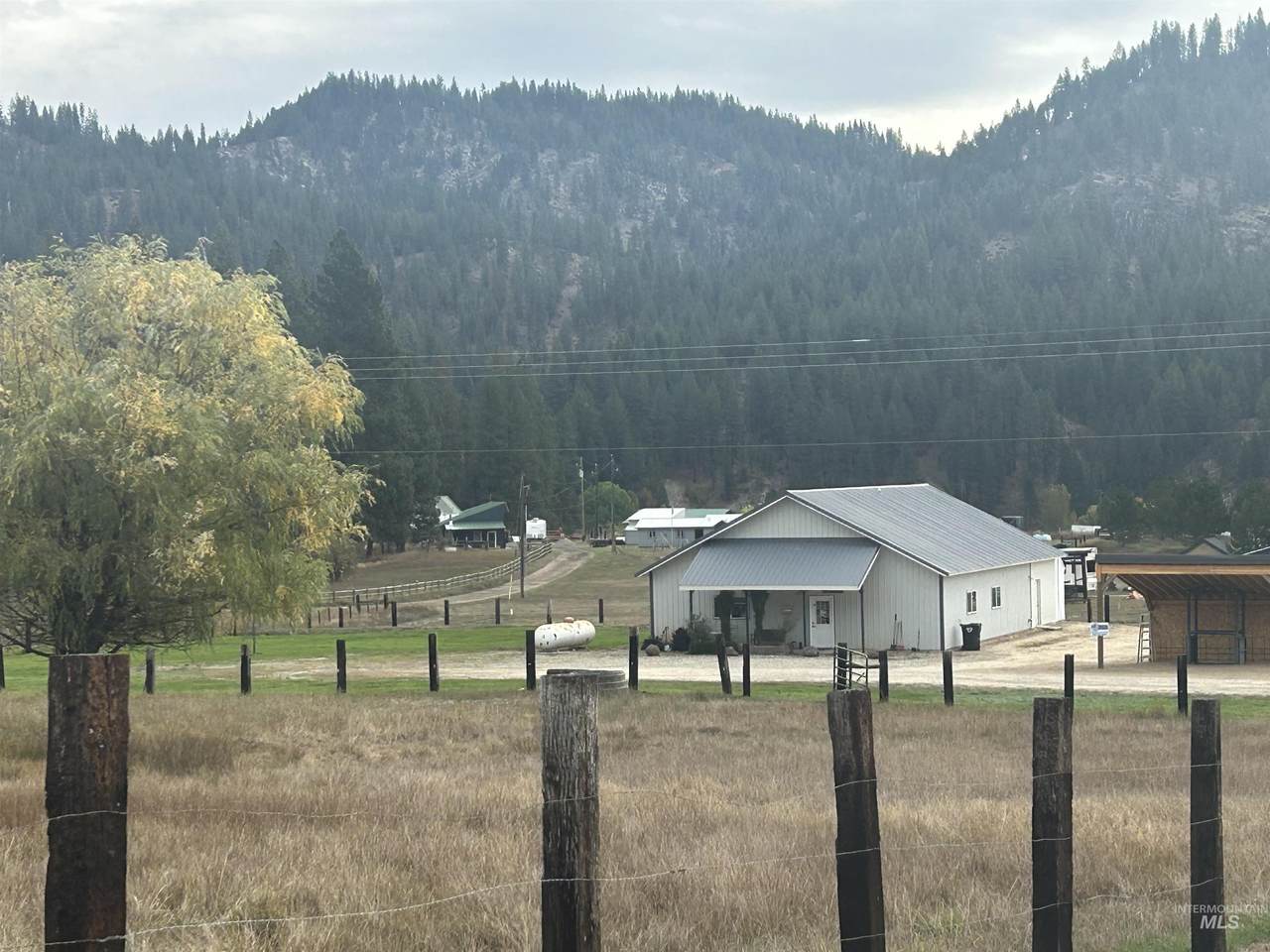 15 Veterinary Way - Photo 1
