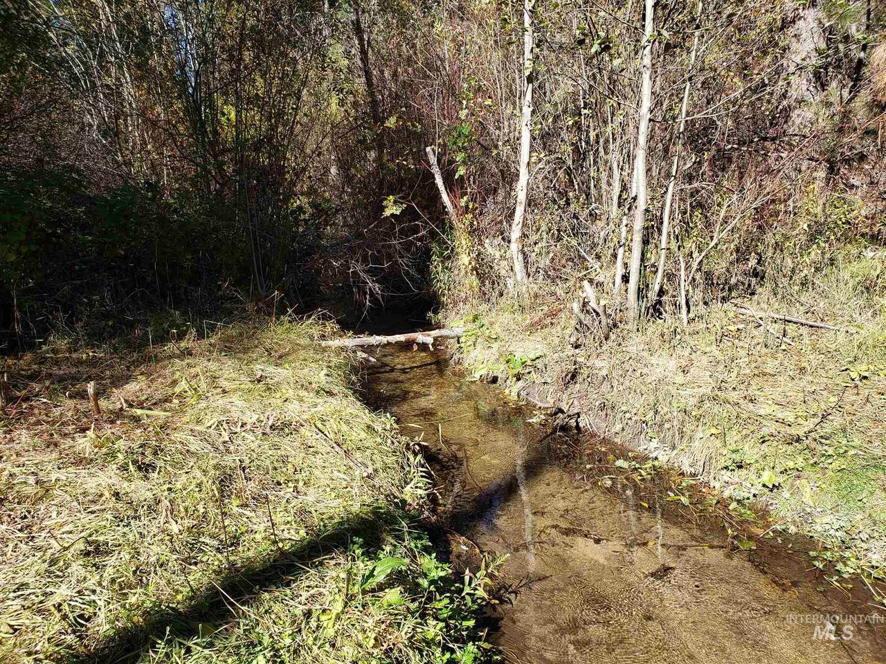 TBD Robie Creek Rd - Photo 1