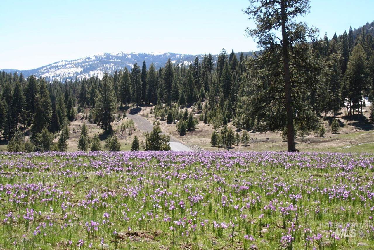 Lot 42 Blackhawk Lake Drive - Photo 1