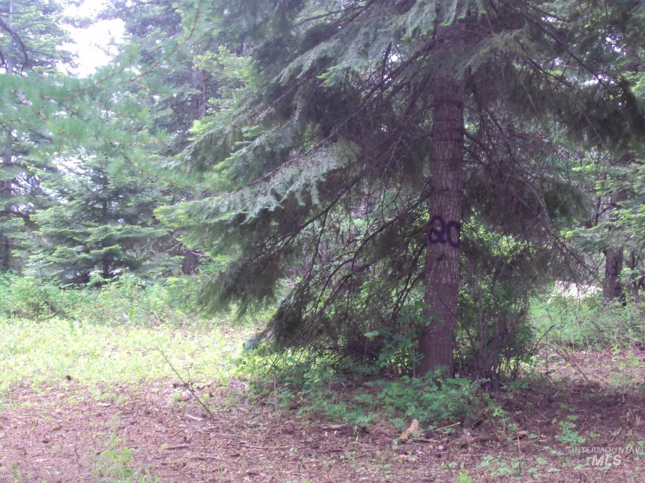 102 Kyle Rd - Photo 1