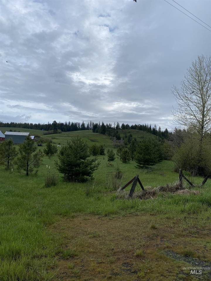 TBD Cedar View Lane - Photo 1