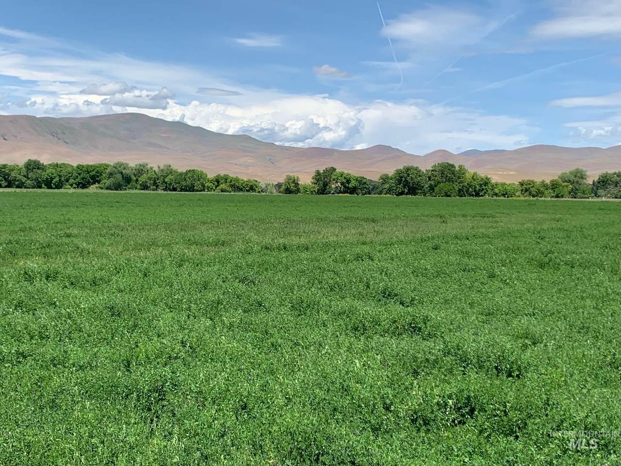000 Eaton (Land Only) - Photo 1