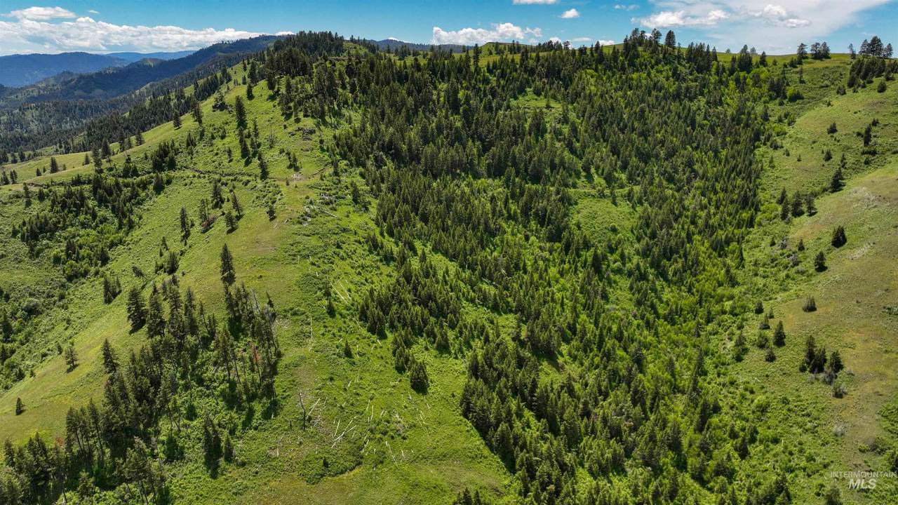 Lot 96 & Lot 97 Twin River Ranch - Photo 1