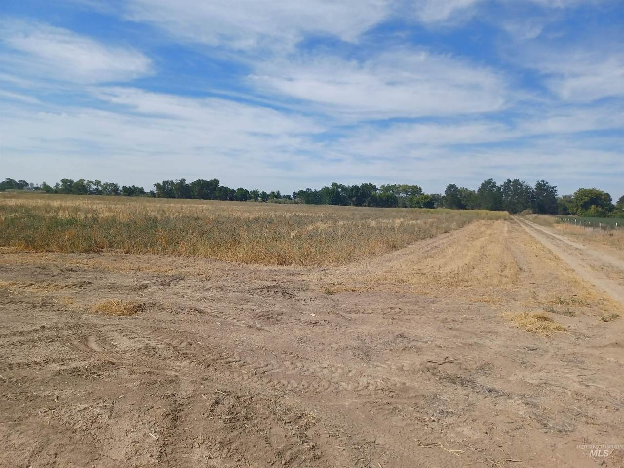 tbd Wild Aspen Ln - Photo 1