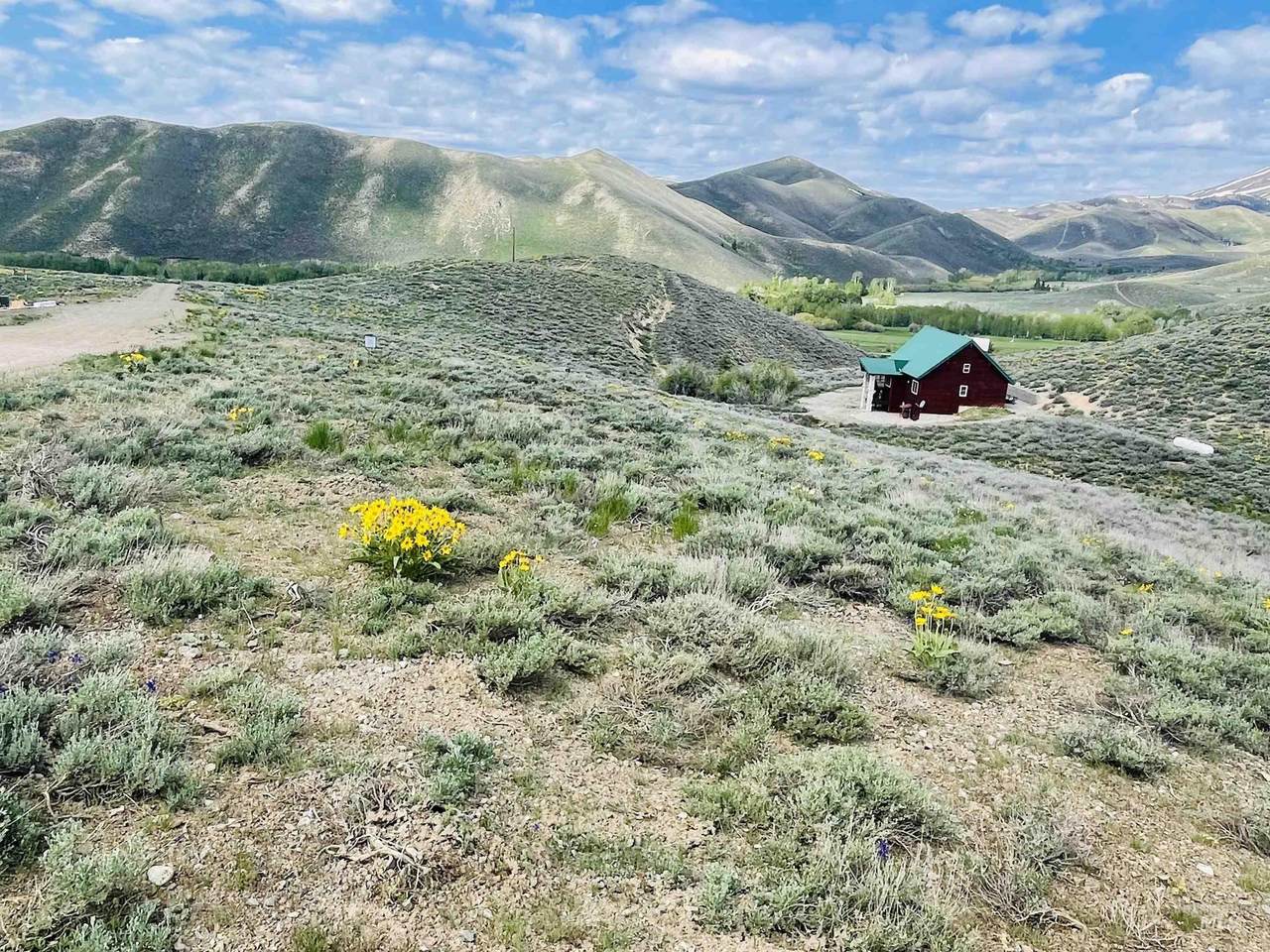  Tbd Silver Brush - Photo 1