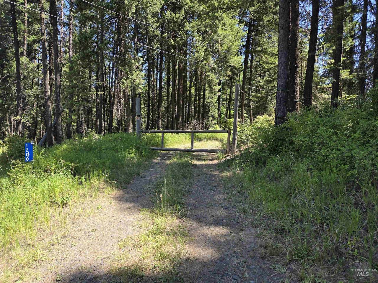 1200 White Pine Flats Rd - Photo 1