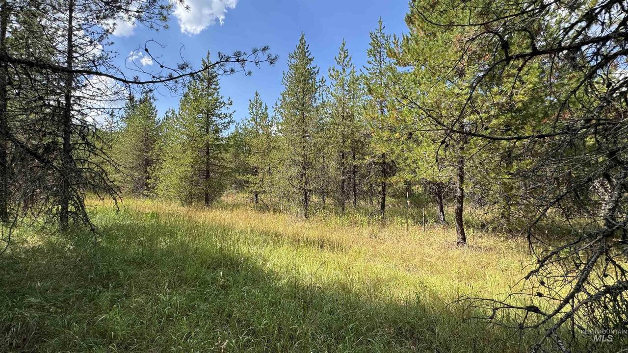 Parcel 19 Band Mill Loop Rd - Photo 1