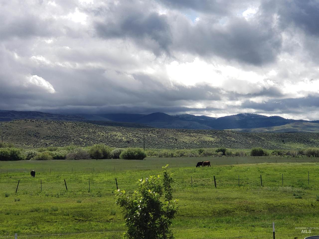 2015 Cow Creek Rd. - Photo 1