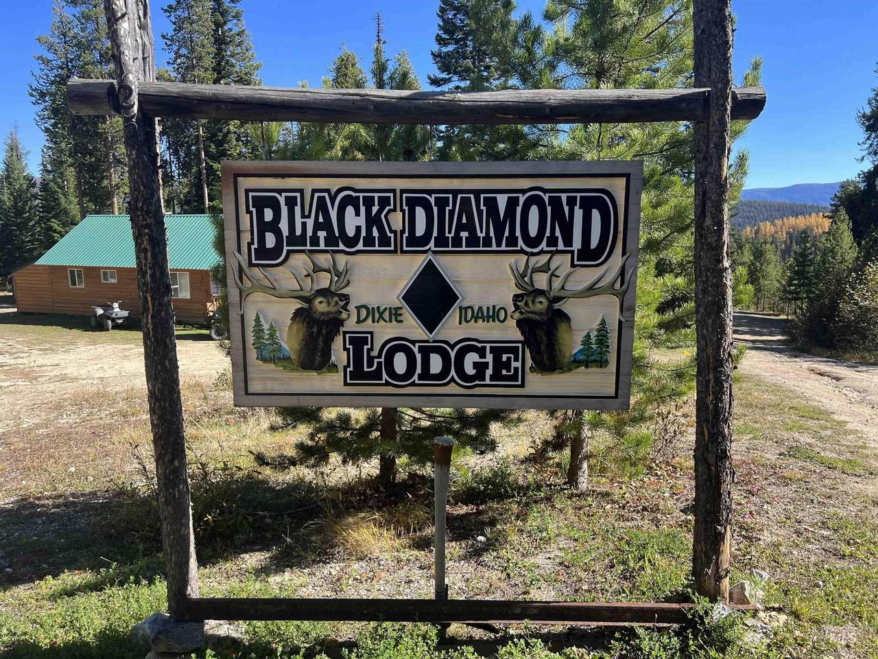 125 Black Diamond Lane - Photo 1