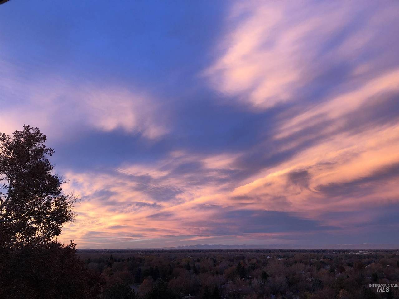 5019 Bitterbrush - Photo 1