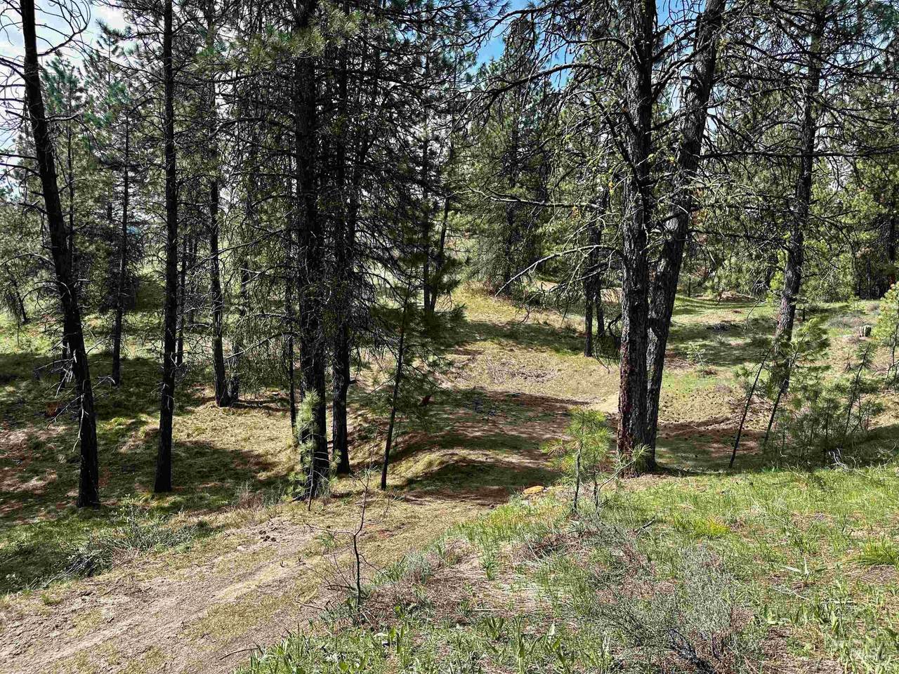 TBD Midgaard Way - Tract 7 - Photo 1
